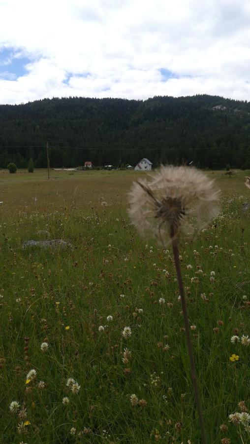Vila Vikendica Borje Žabljak Exteriér fotografie