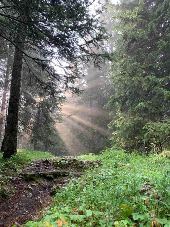 Vila Vikendica Borje Žabljak Exteriér fotografie