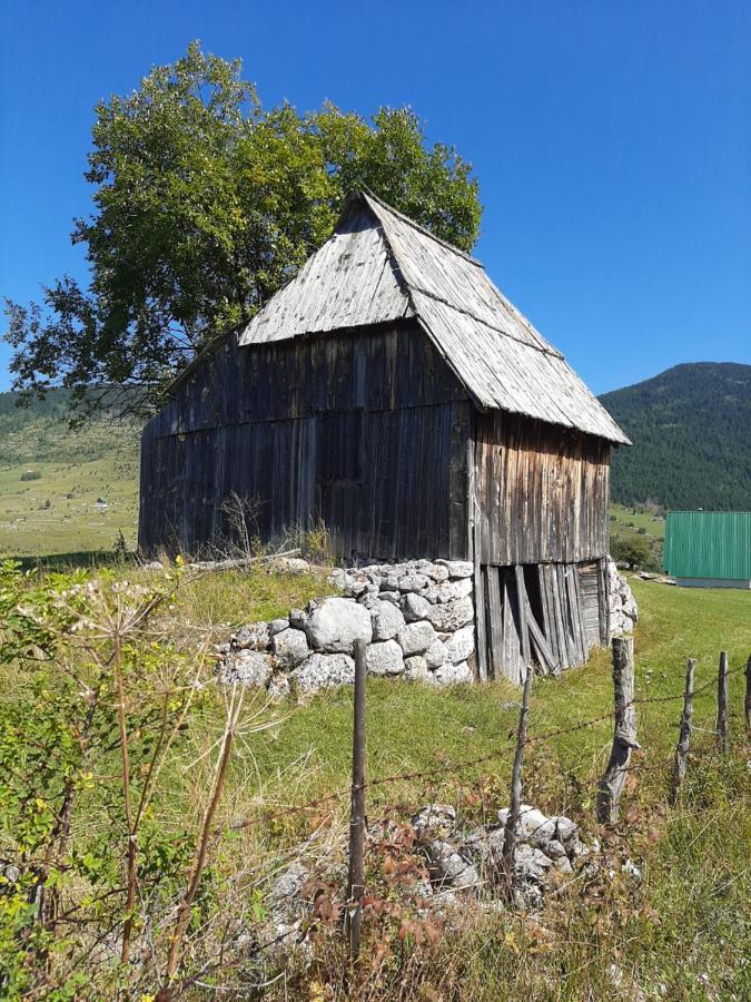 Vila Vikendica Borje Žabljak Exteriér fotografie