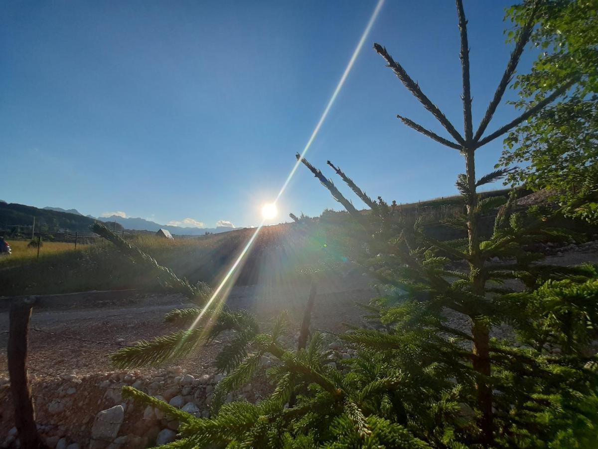 Vila Vikendica Borje Žabljak Exteriér fotografie