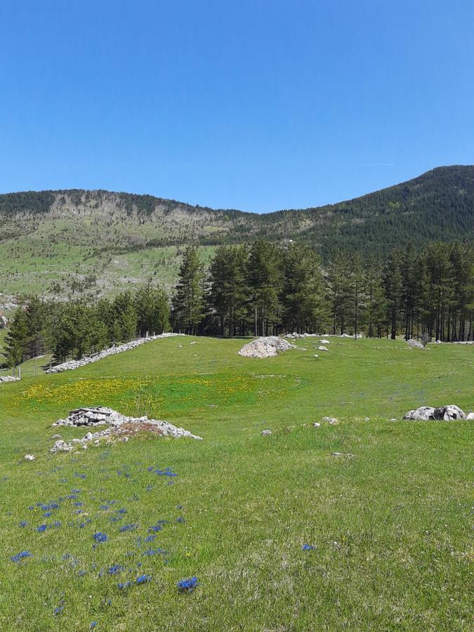 Vila Vikendica Borje Žabljak Exteriér fotografie