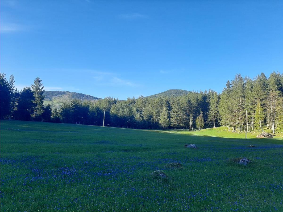 Vila Vikendica Borje Žabljak Exteriér fotografie