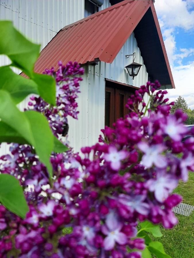 Vila Vikendica Borje Žabljak Exteriér fotografie