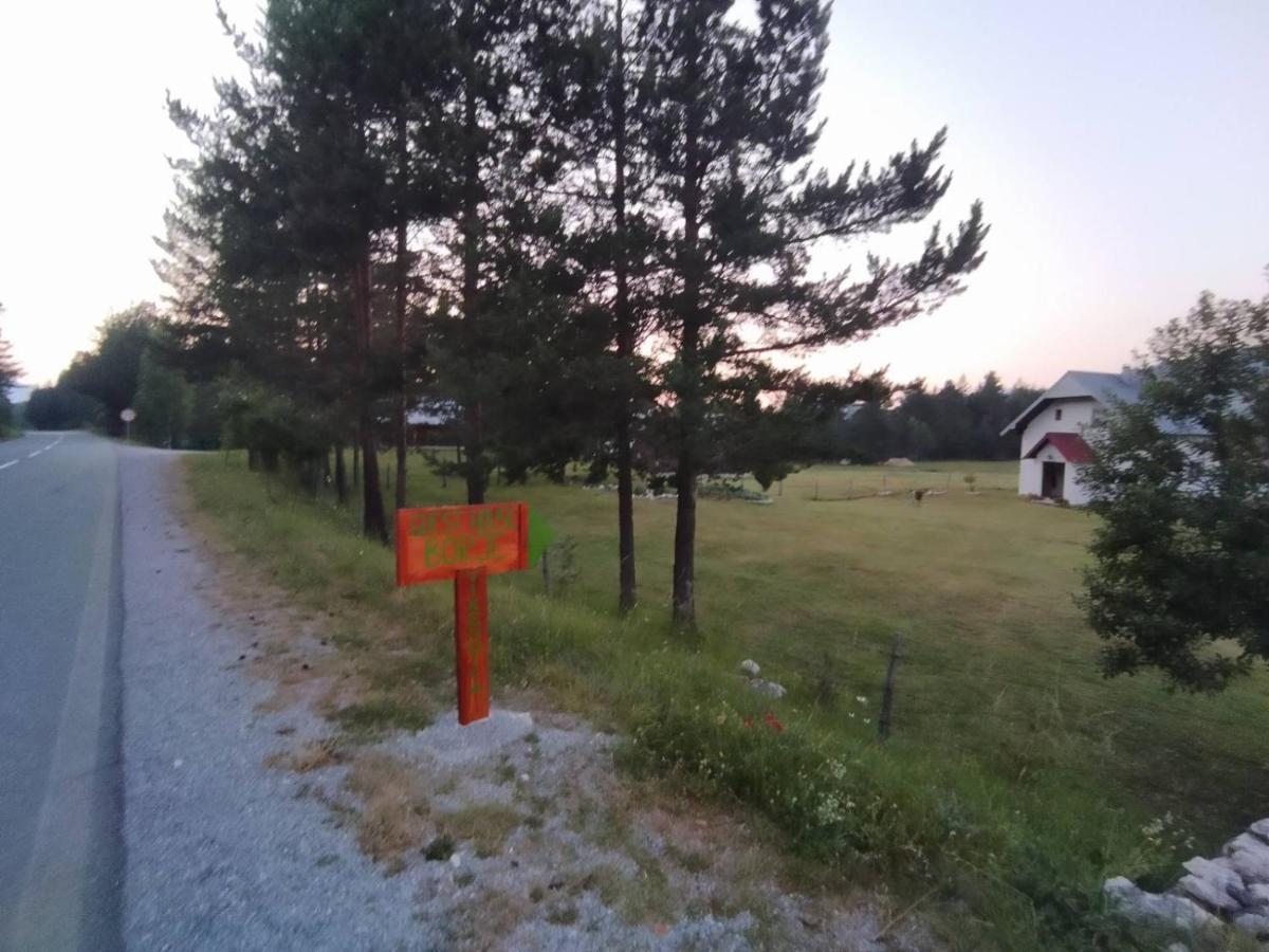 Vila Vikendica Borje Žabljak Exteriér fotografie