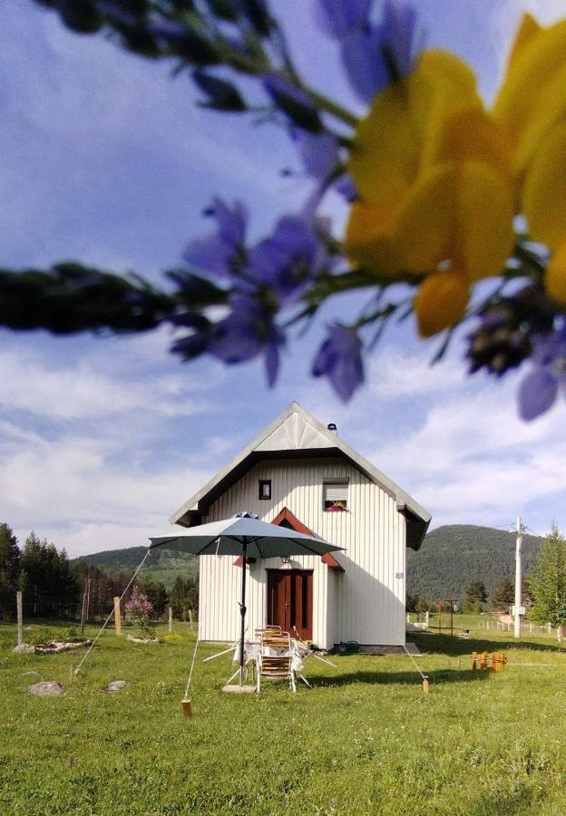 Vila Vikendica Borje Žabljak Exteriér fotografie