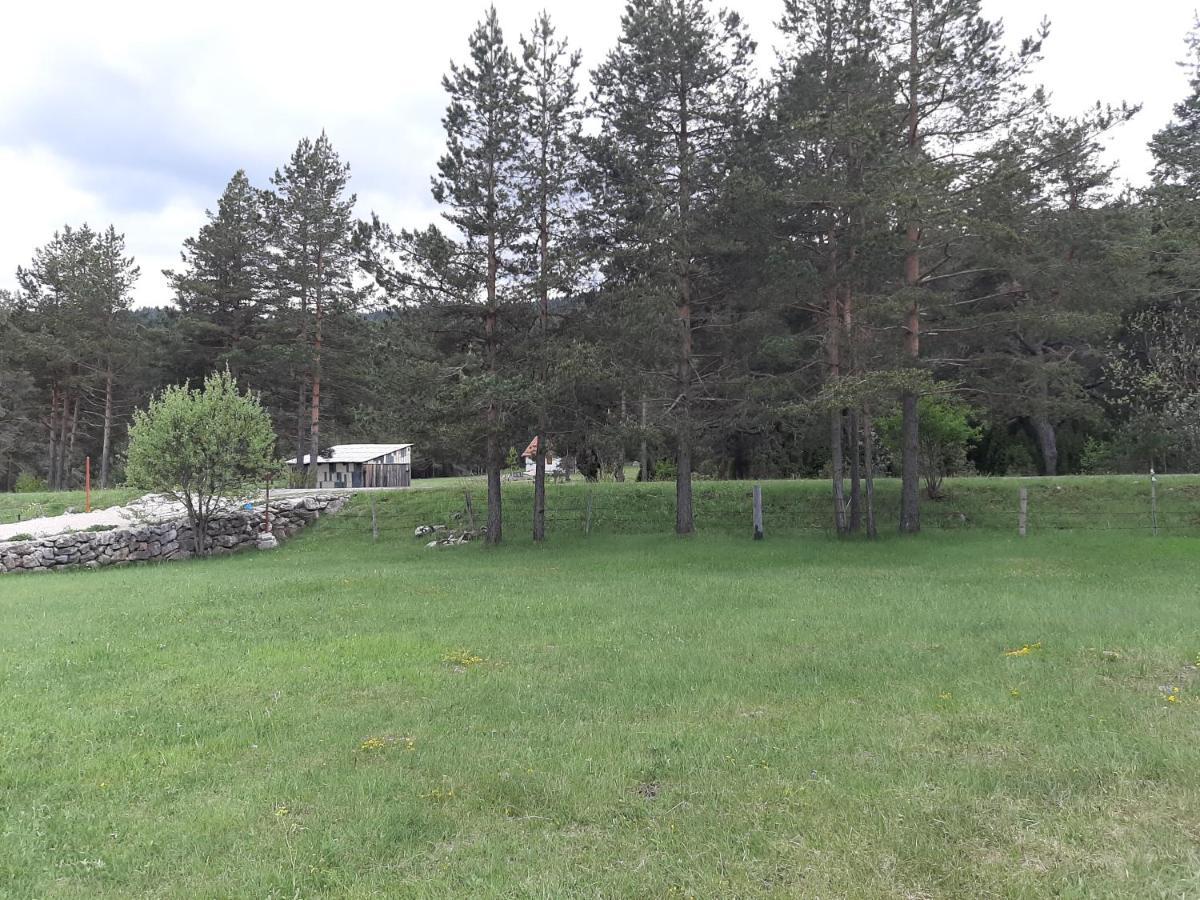 Vila Vikendica Borje Žabljak Exteriér fotografie